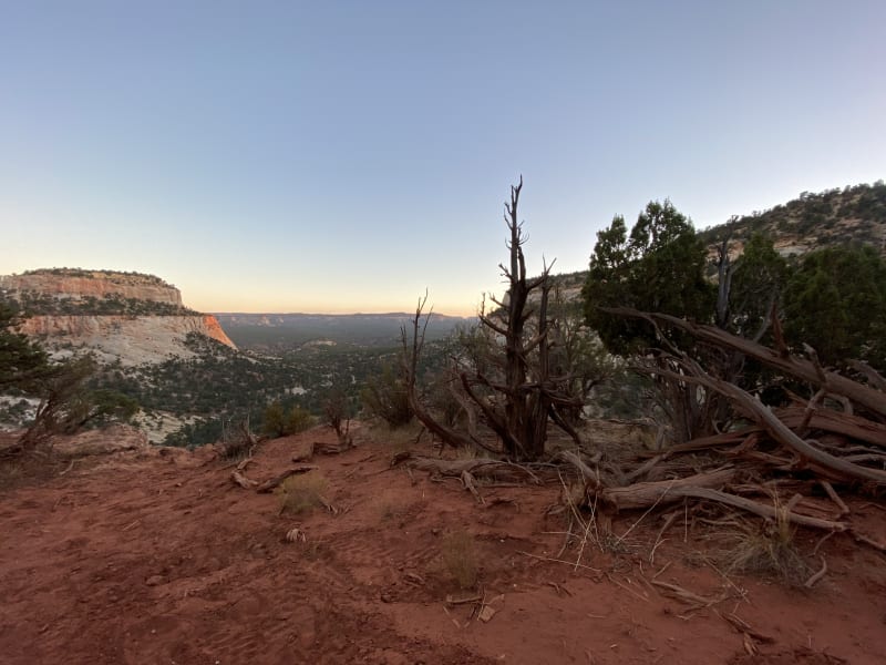 Red sand near Kanab, Utah